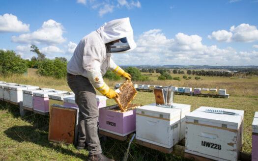 urban-real-estate-hunter-honey-local-community